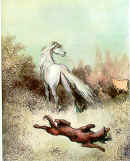 le cheval et le loup (Gustave Dor)